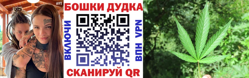 Каннабис гибрид  Купить закладки  Новая Ладога 